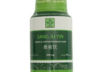 SANG-JU-YIN--Morus-e-Chrysanthemum-Formula-